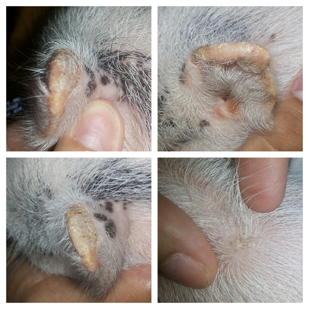 CYMERA 20140725 140139