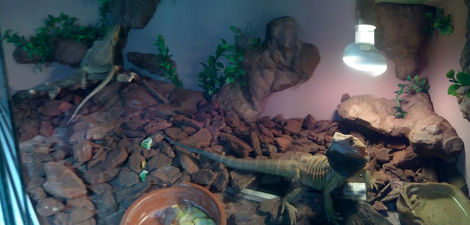 D949df5f-0de1-4b13-a186-59a7dd4fbd21