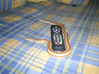 de todo un poco 001.jpg