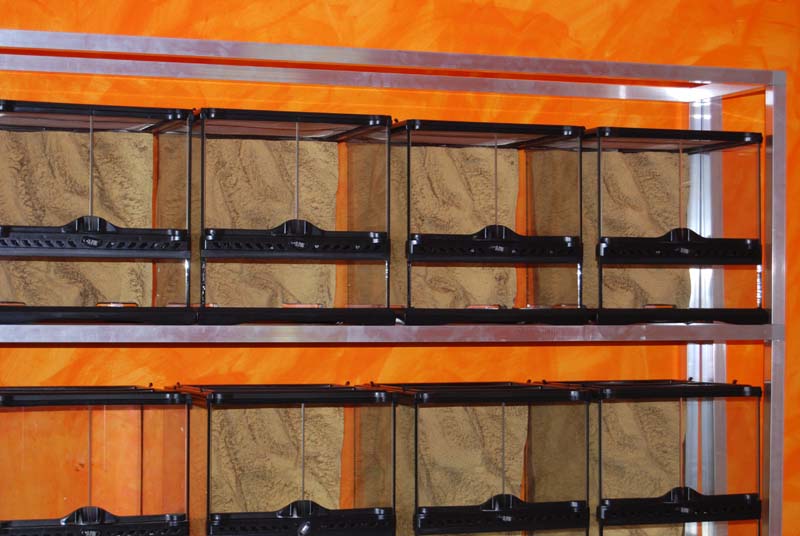 Detalle bateria exo-terra.jpg