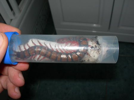 Detalle de uno de los botes.jpg