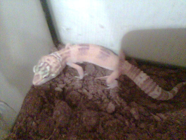 diciembre2006 024.jpg