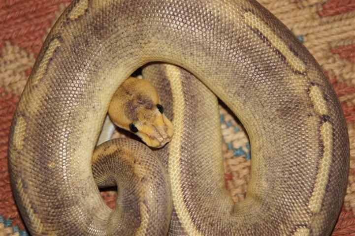 DSC00581 (Small).JPG