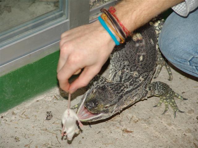 DSC00884 (Small).JPG