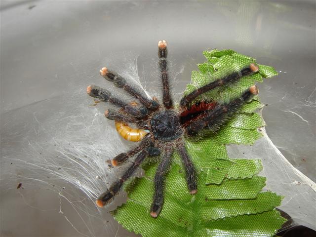 DSC00989 (Small).JPG