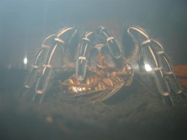 DSC01474 (Small).JPG