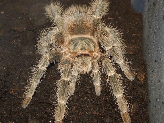 DSC01491 (Small).JPG