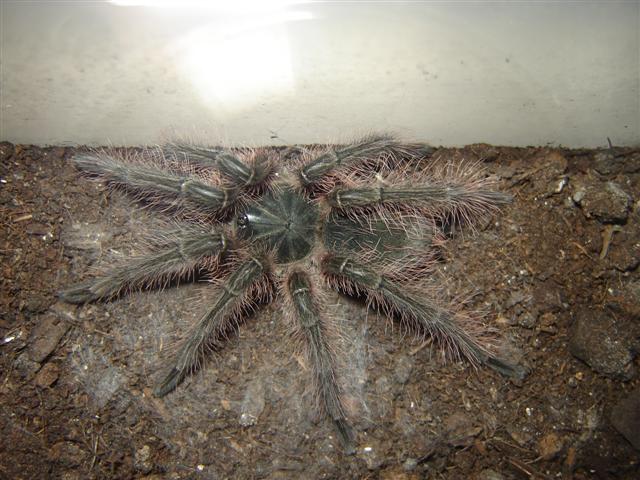 DSC01511 (Small).JPG