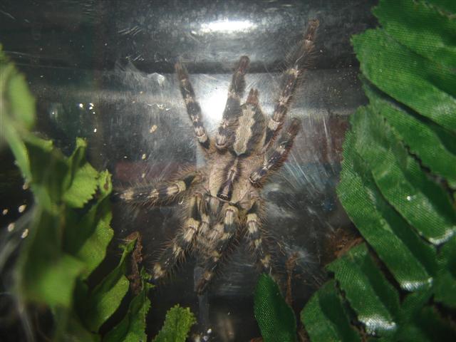 DSC01525 (Small).JPG