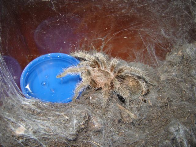 DSC01696 (Small).JPG