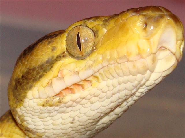 DSC01857 (Small).JPG