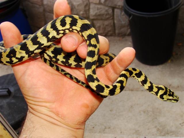 DSC02040 (Small).JPG