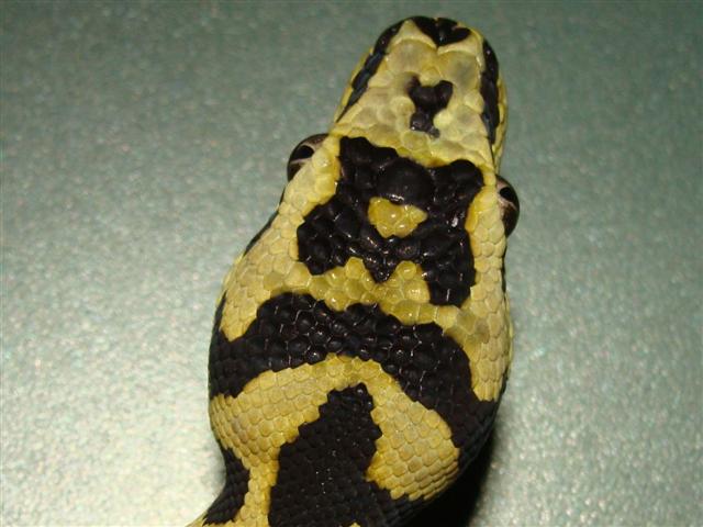 DSC02045 (Small).JPG