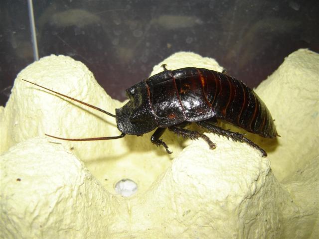 DSC02058 (Small).JPG