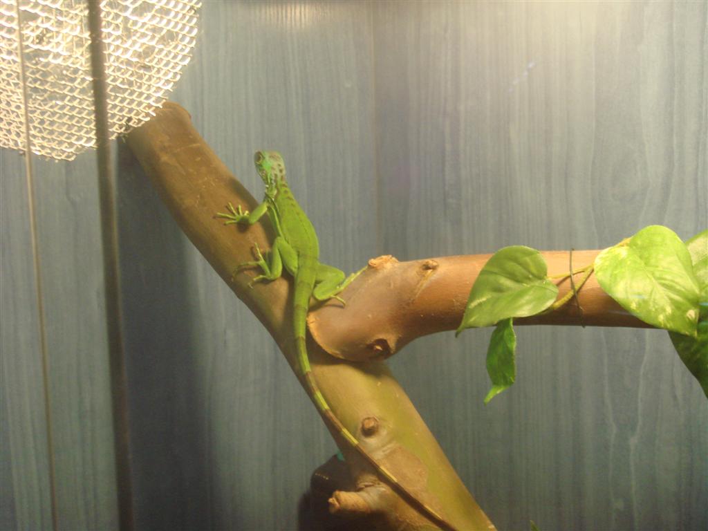 DSC02230 (Large).JPG