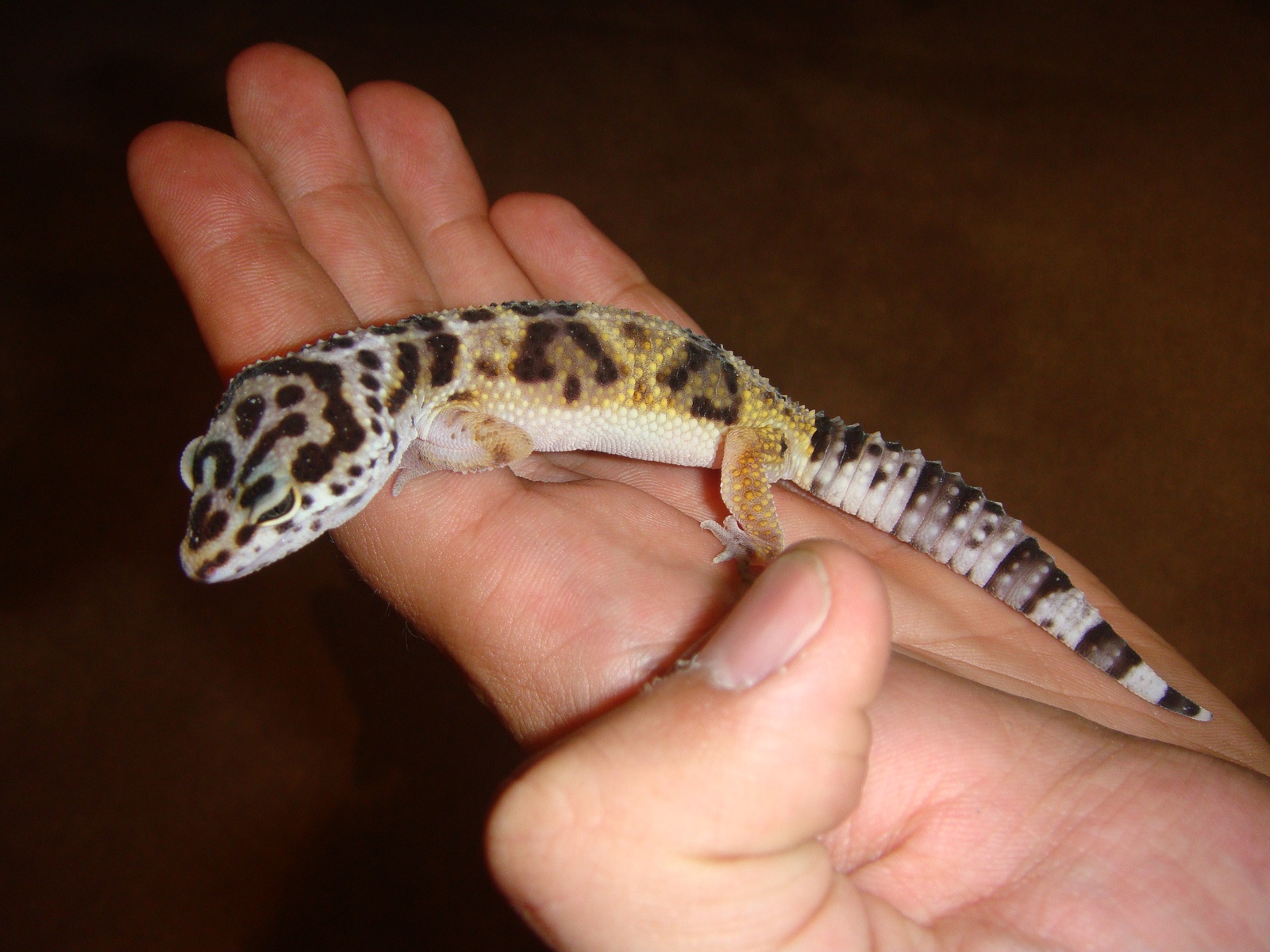 DSC02283 [1600x1200].JPG