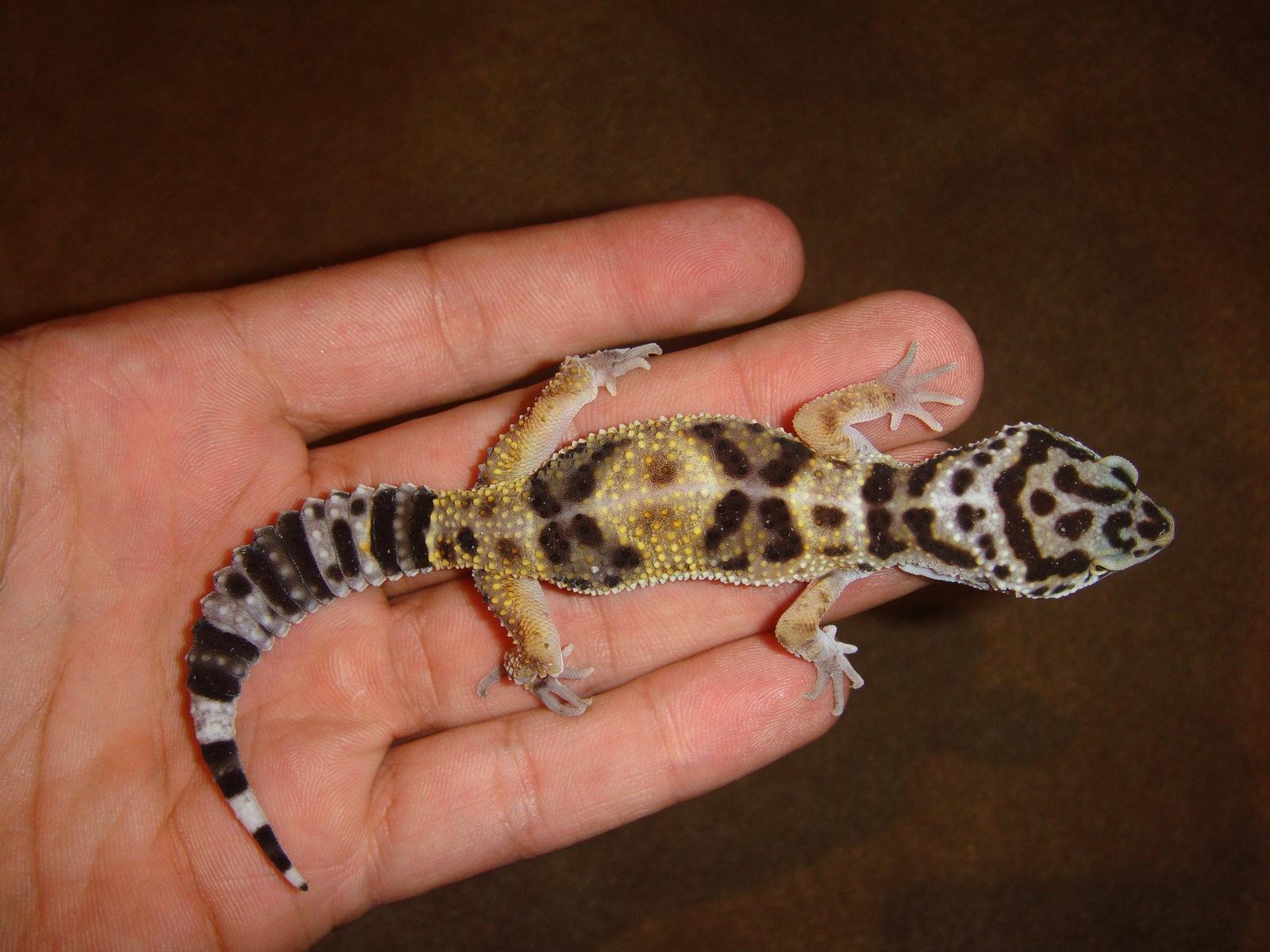 DSC02284 [1600x1200].JPG