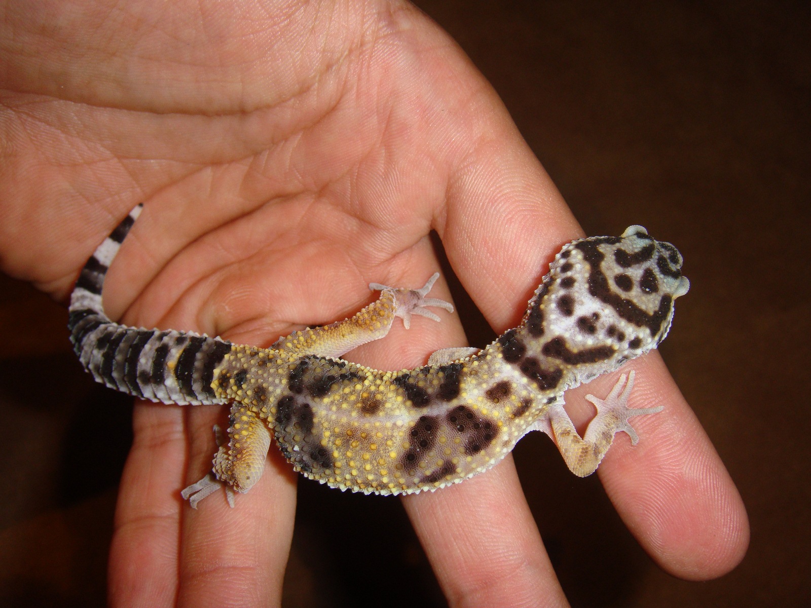 DSC02285 [1600x1200].JPG