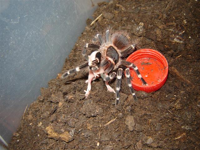 DSC02601 (Small).JPG