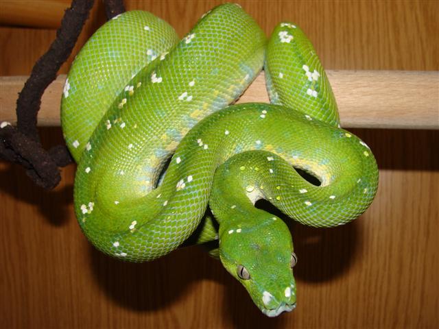 DSC02733 (Small).JPG