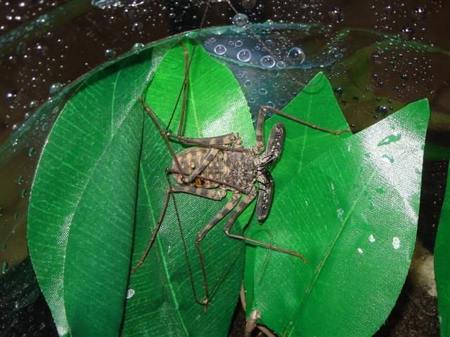 DSC02738 (Small).JPG