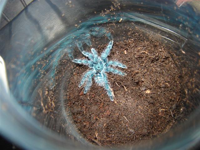 DSC02743 (Small).JPG