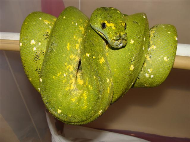 DSC02920 (Small).JPG