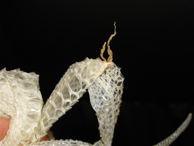 DSC02978 (Small).JPG