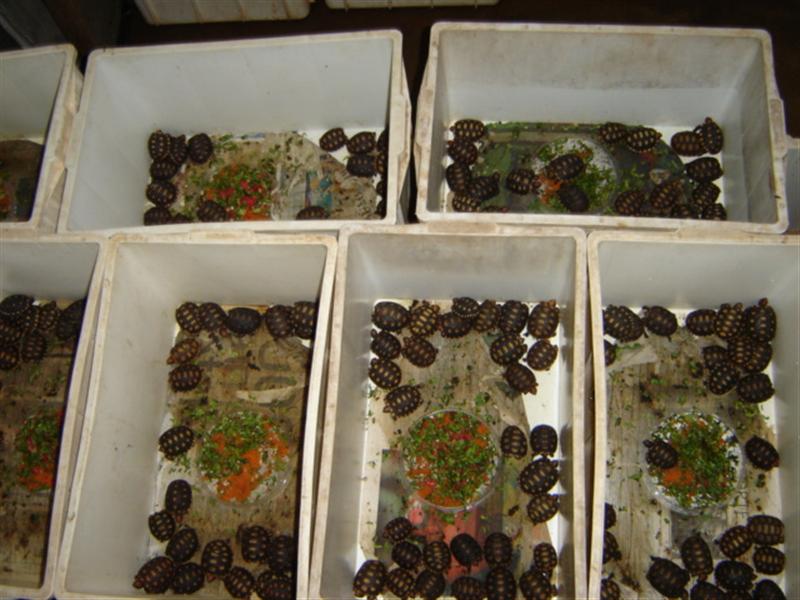 DSC03181 (Medium).JPG