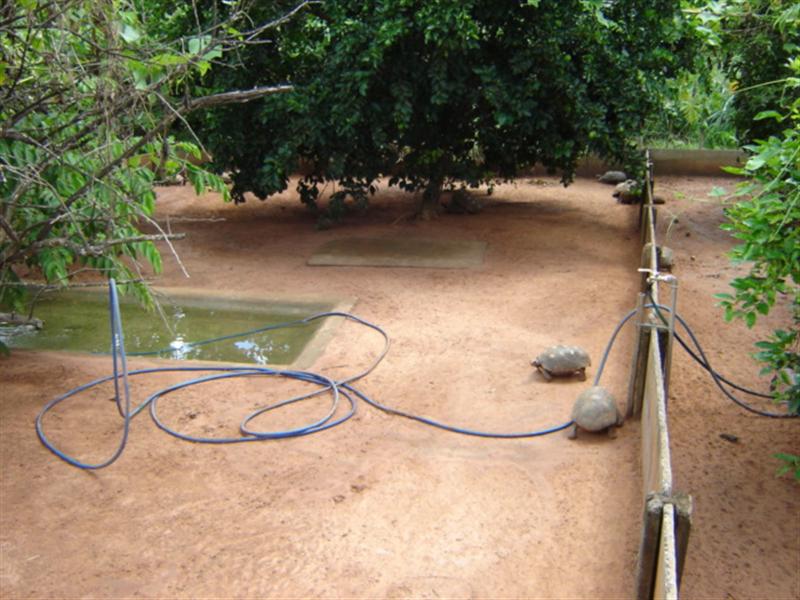 DSC03280 (Medium).JPG