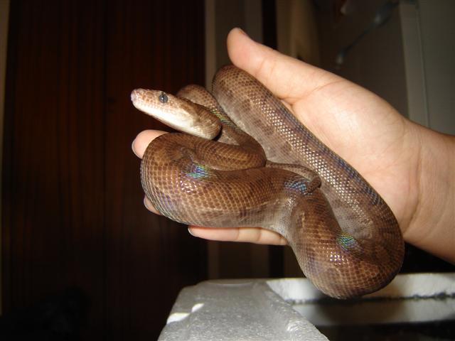 DSC03587 (Small).JPG