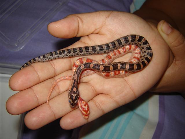 DSC03608 (Small).JPG