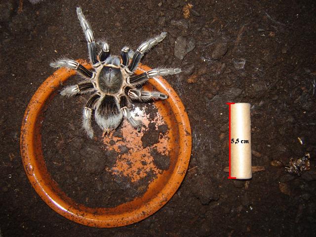 DSC03740 (Small).JPG