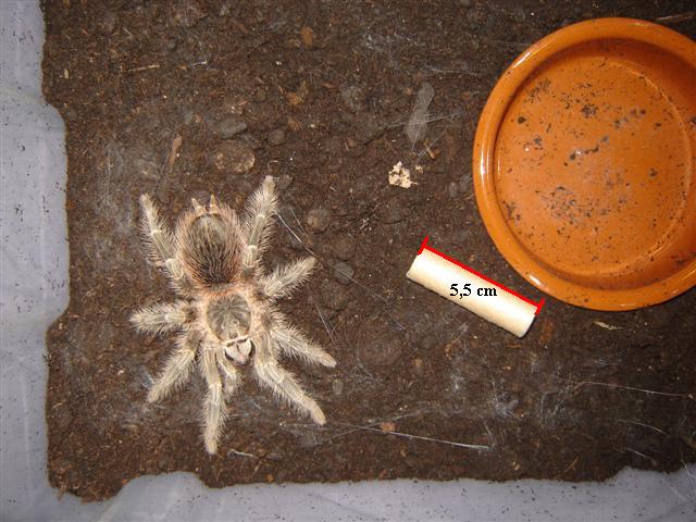 DSC03743 (Small).JPG