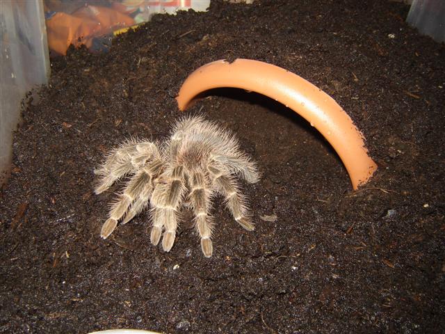 DSC04369 (Small).JPG