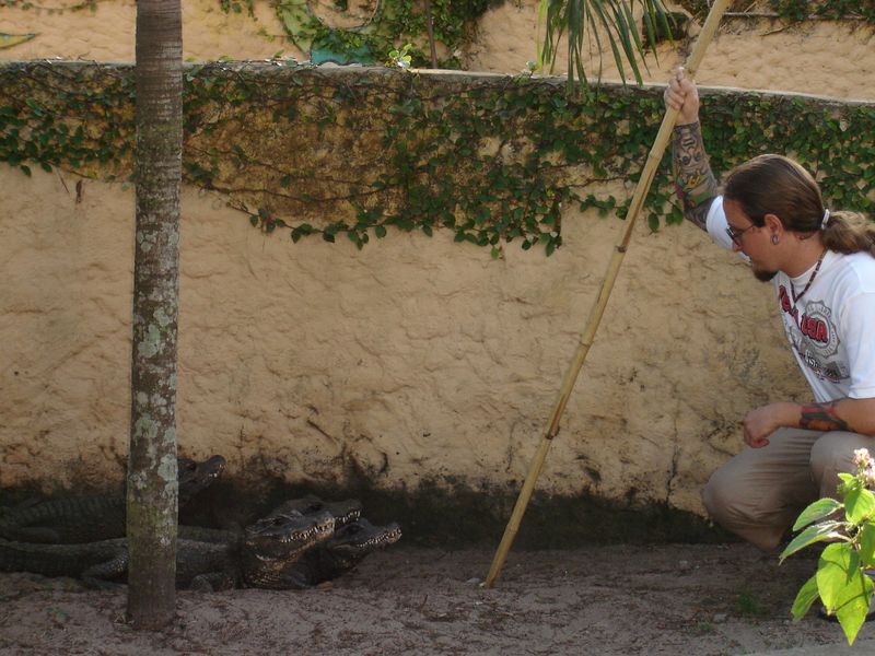 DSC04506 [800x600].JPG