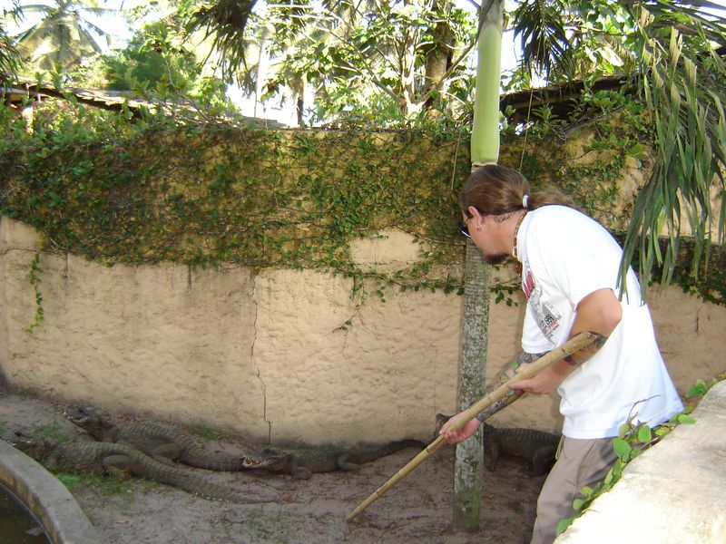 DSC04507 [800x600].JPG