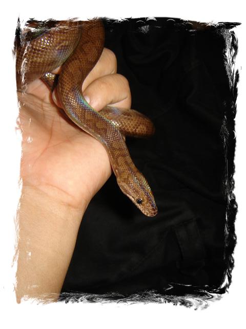 DSC04780 (Small) 1.jpg