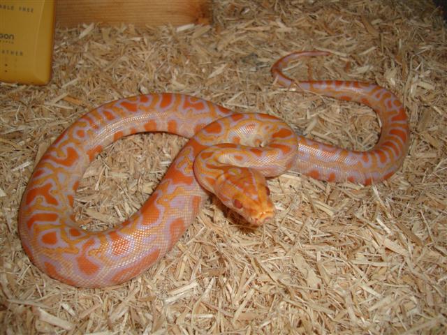 DSC04890 (Small).JPG