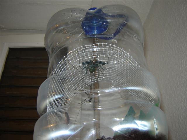 DSC04924 (Small).JPG