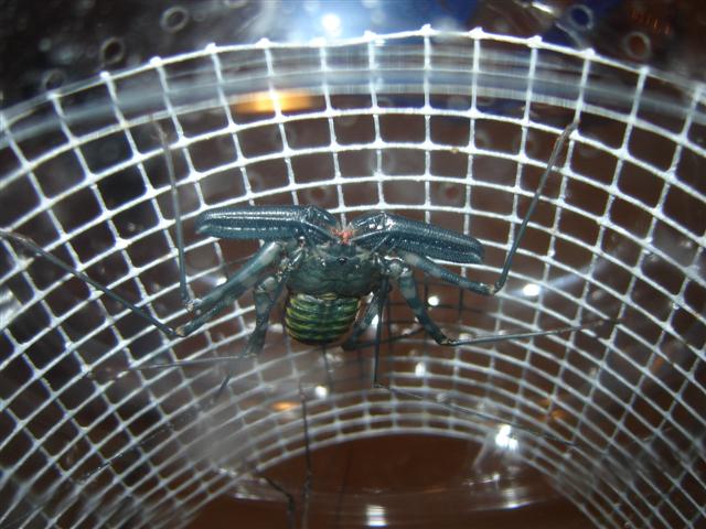 DSC04926 (Small).JPG