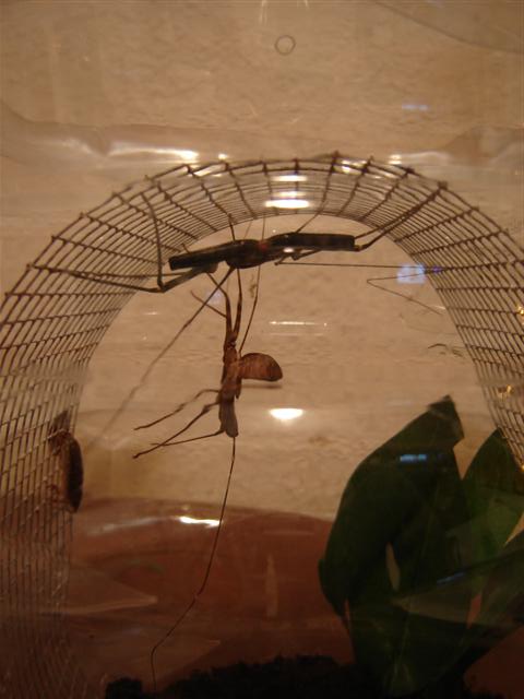 DSC04928 (Small).JPG