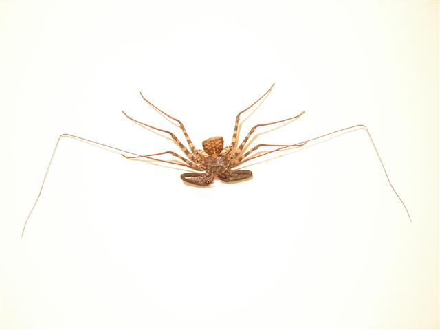 DSC04943 (Small).JPG