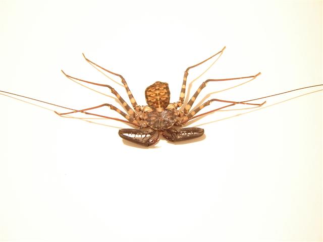 DSC04944 (Small).JPG