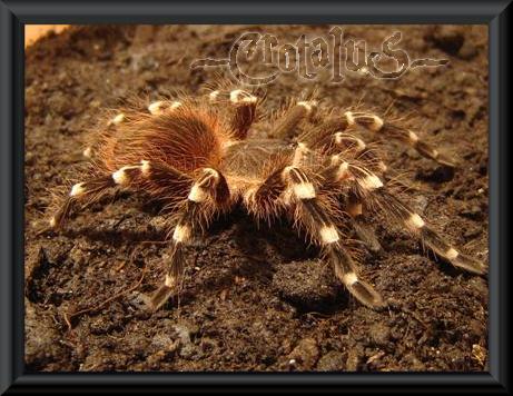 DSC05149 (Small).jpg