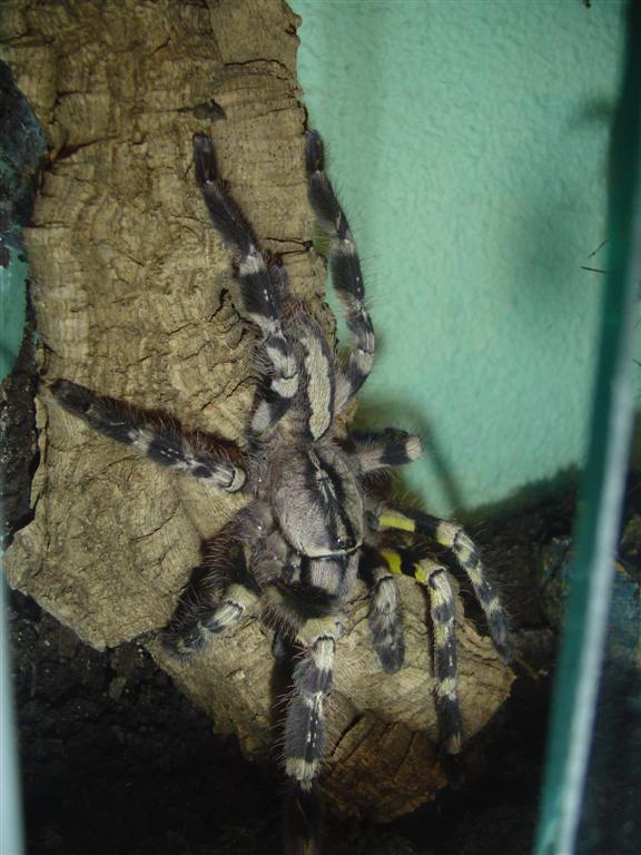 DSC05655 (Large).JPG