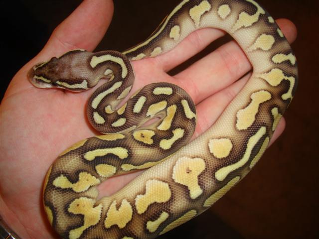 DSC05675 (Small).JPG