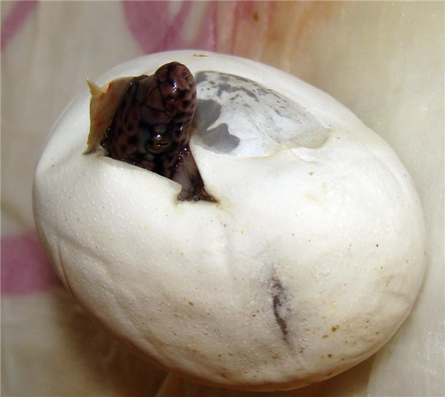 DSC06265.JPG (Small) (2).png