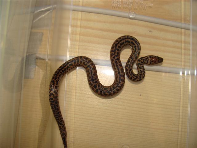 DSC06272 (Small).JPG