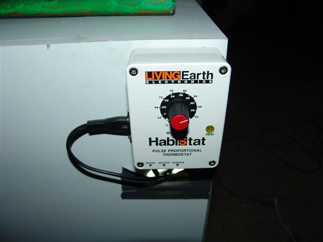 DSC08344 (Small).JPG